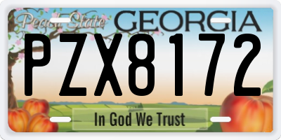 GA license plate PZX8172