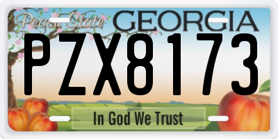 GA license plate PZX8173