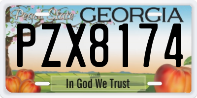 GA license plate PZX8174