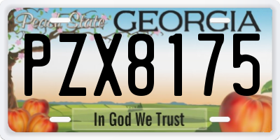 GA license plate PZX8175
