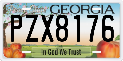GA license plate PZX8176
