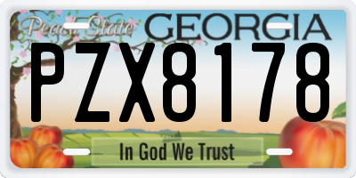GA license plate PZX8178