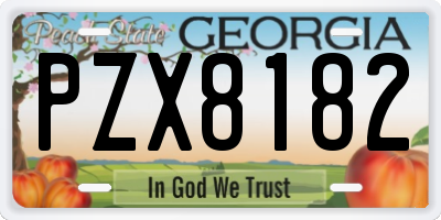 GA license plate PZX8182