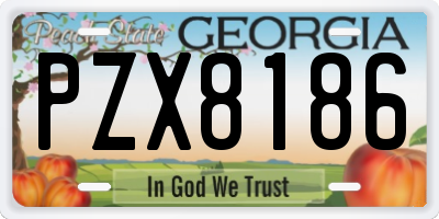GA license plate PZX8186