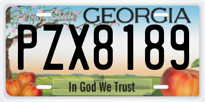 GA license plate PZX8189
