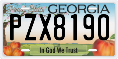 GA license plate PZX8190