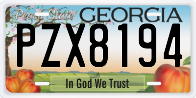 GA license plate PZX8194