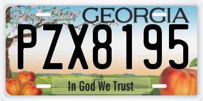 GA license plate PZX8195