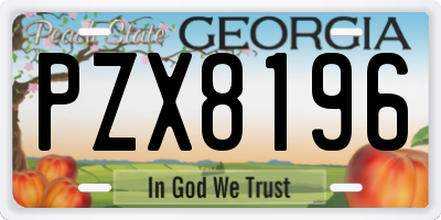 GA license plate PZX8196