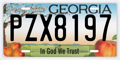 GA license plate PZX8197