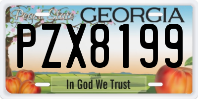 GA license plate PZX8199