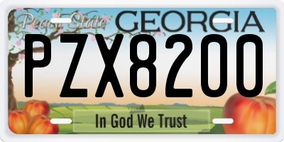 GA license plate PZX8200