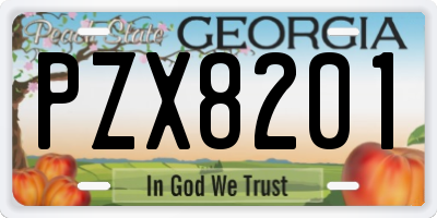 GA license plate PZX8201