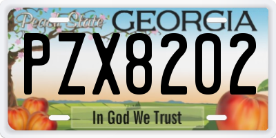 GA license plate PZX8202