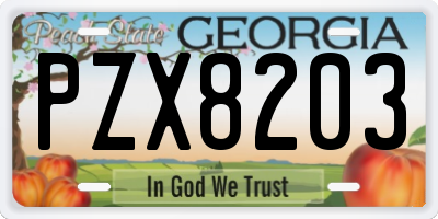 GA license plate PZX8203