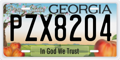 GA license plate PZX8204
