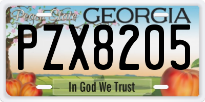 GA license plate PZX8205