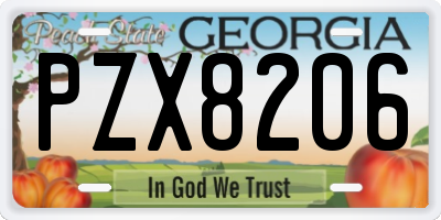 GA license plate PZX8206