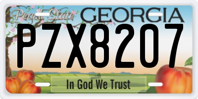 GA license plate PZX8207