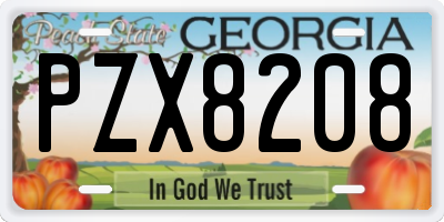 GA license plate PZX8208