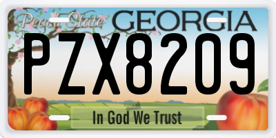 GA license plate PZX8209