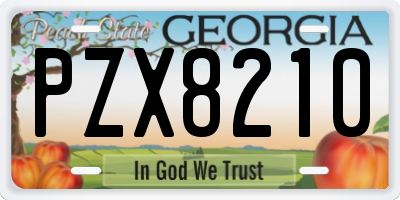 GA license plate PZX8210