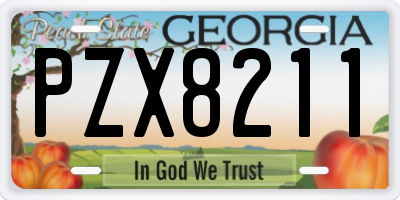 GA license plate PZX8211