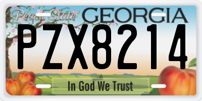 GA license plate PZX8214