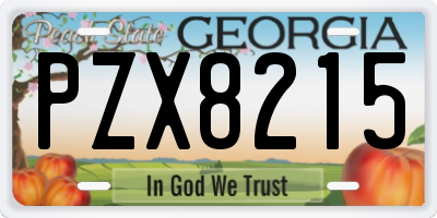 GA license plate PZX8215