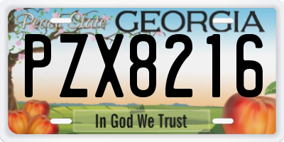 GA license plate PZX8216