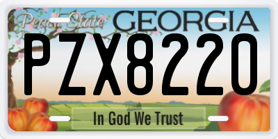 GA license plate PZX8220