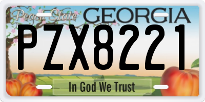 GA license plate PZX8221