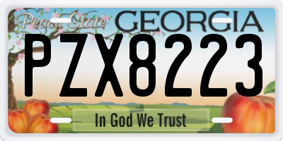 GA license plate PZX8223