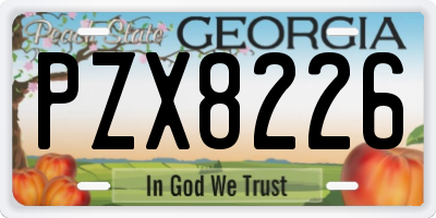 GA license plate PZX8226