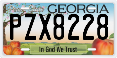 GA license plate PZX8228