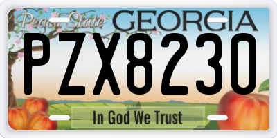 GA license plate PZX8230