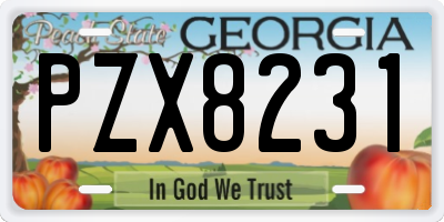 GA license plate PZX8231