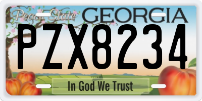 GA license plate PZX8234