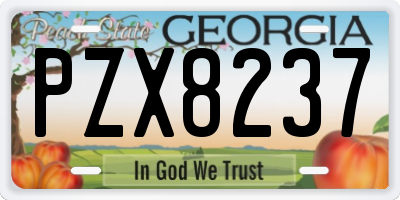 GA license plate PZX8237