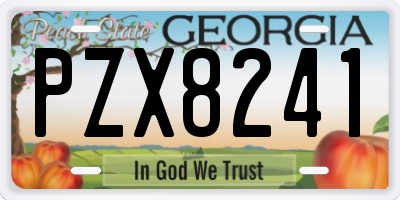 GA license plate PZX8241