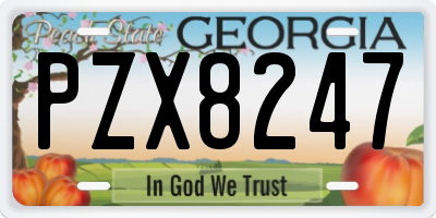 GA license plate PZX8247
