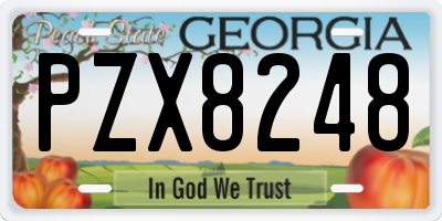 GA license plate PZX8248