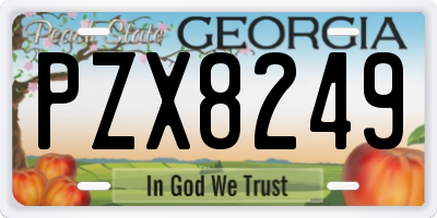 GA license plate PZX8249