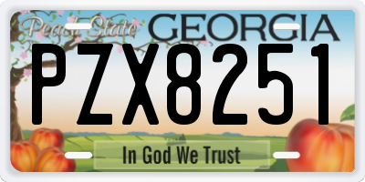 GA license plate PZX8251