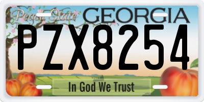GA license plate PZX8254
