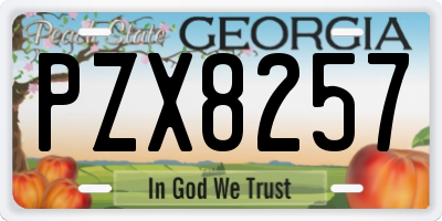 GA license plate PZX8257