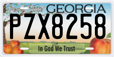 GA license plate PZX8258
