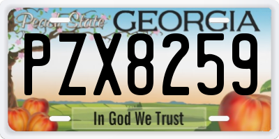 GA license plate PZX8259