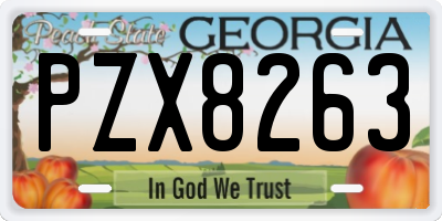 GA license plate PZX8263