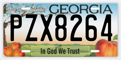 GA license plate PZX8264